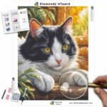 diamonds-wizard-diamond-painting-kits-animals-cat-monochrome-feline-serenity-canva-jpg