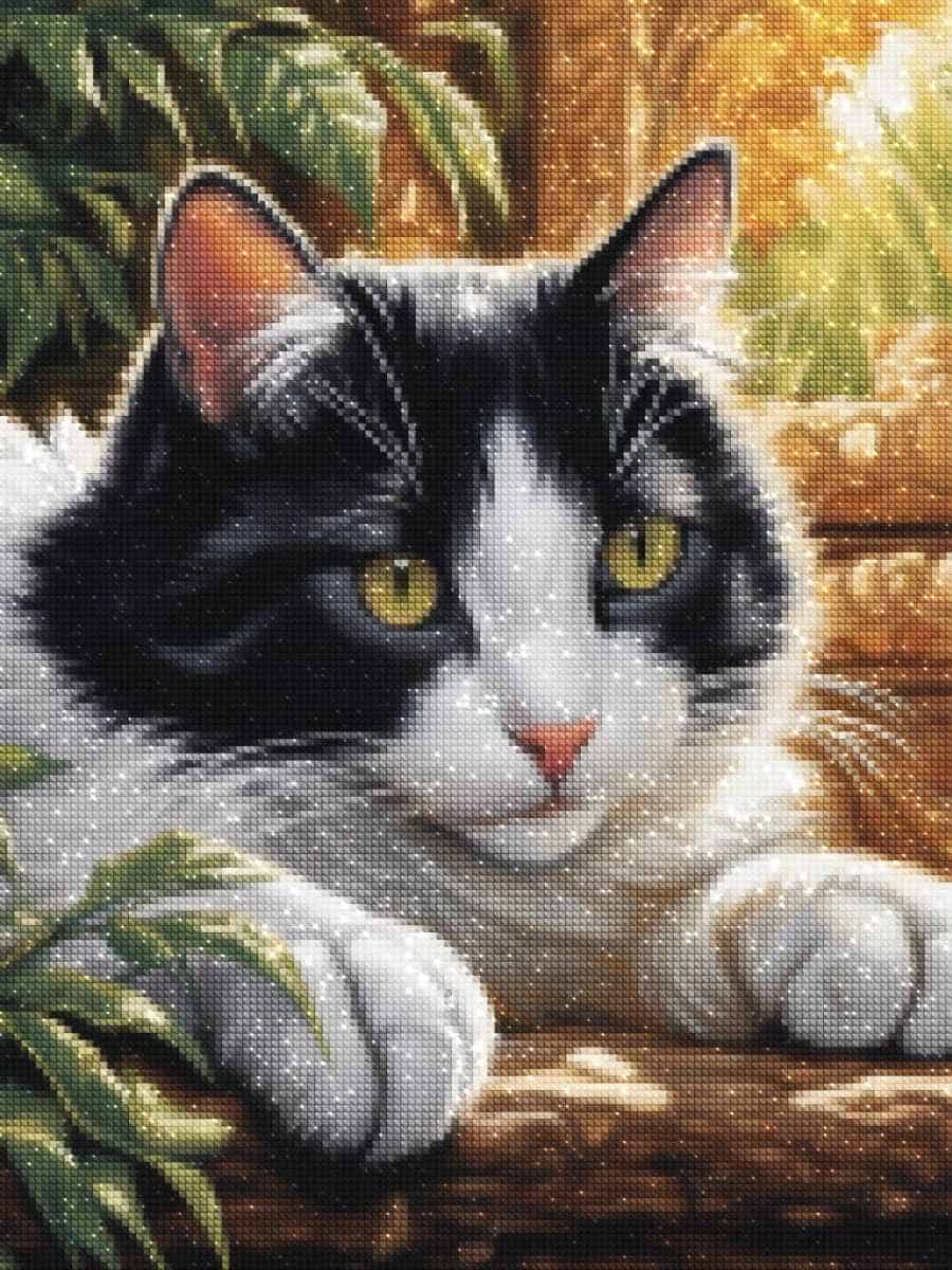 diamonds-wizard-diamond-painting-kits-Animals-Cat-Monochrome-Feline-Serenity-diamonds.jpg