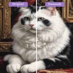 diamonds-wizard-diamond-painting-kits-animals-cat-regal-pose-before-after-jpg