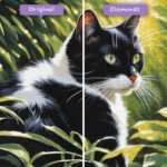 diamants-wizard-diamond-painting-kits-animaux-chat-serein-sanctuaire-avant-après-jpg