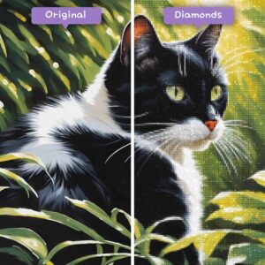 diamanter-veiviser-diamant-malesett-dyr-katt-serene-sanctuary-before-after-jpg