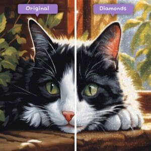 diamonds-wizard-diamond-painting-kits-animals-cat-sunlit-slumber-before-after-jpg