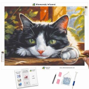 diamonds-wizard-diamond-painting-kits-animals-cat-sunlit-slumber-canva-jpg