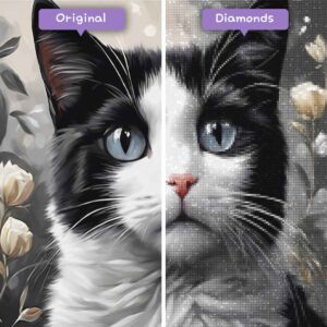 diamonds-wizard-diamond-painting-kits-animals-cat-the-black-and-white-feline-journey-before-after-jpg
