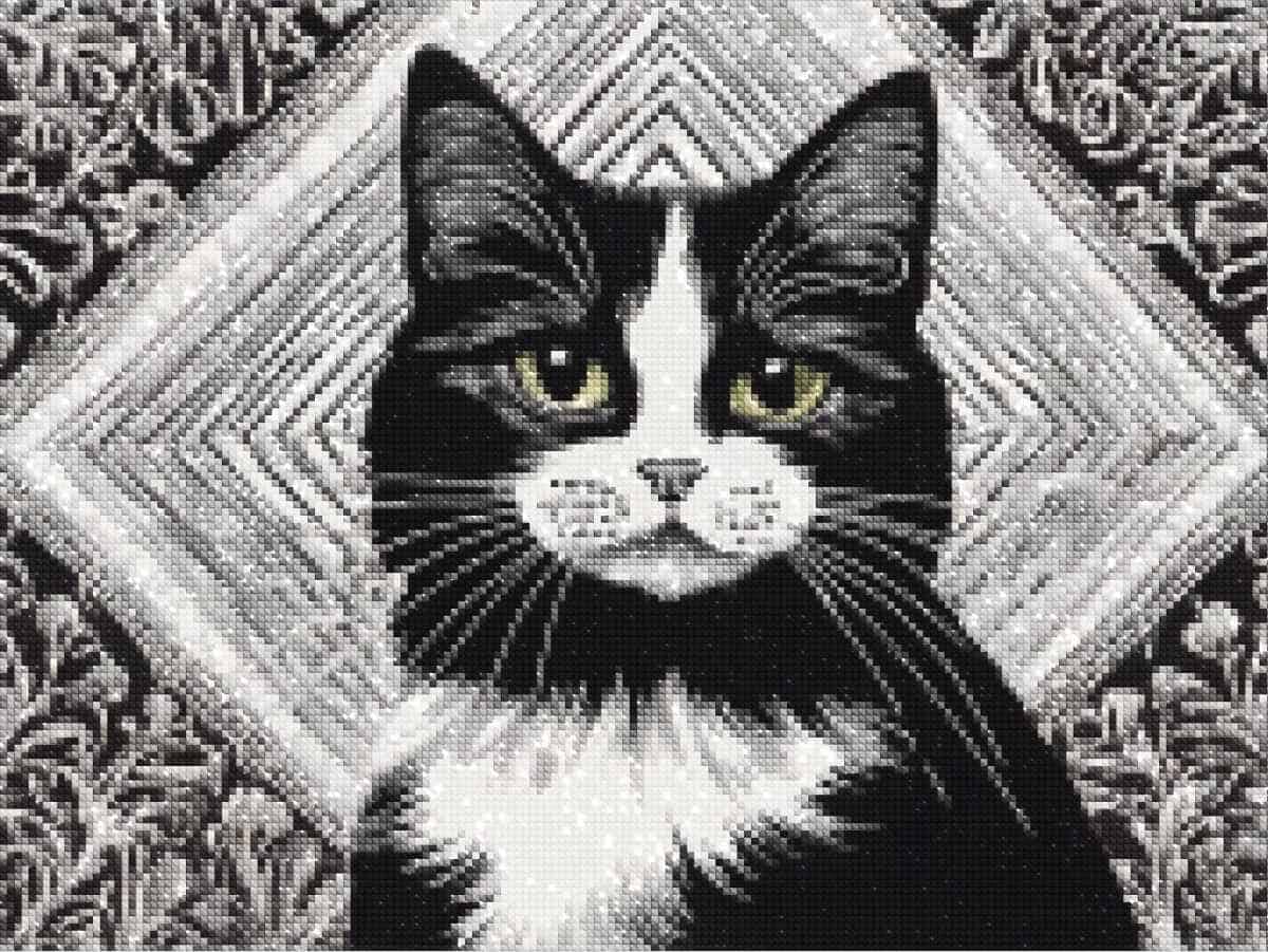 diamonds-wizard-diamond-painting-kits-Animals-Cat-Whiskers-Charm-diamonds.jpg