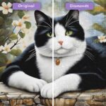 diamonds-wizard-diamond-painting-kits-animals-cat-zen-cat-before-after-jpg