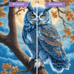 diamonds-wizard-diamond-painting-kits-animaux-hibou-azure-aviary-avant-après-jpg