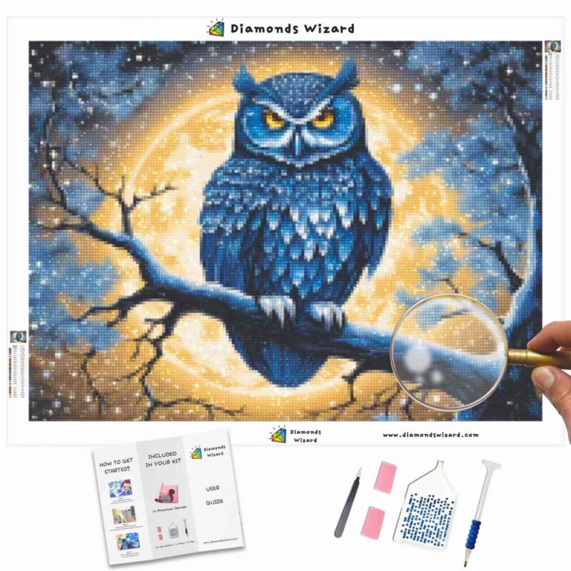 Diamondswizardkits de peinture au diamantanimauxhibouhibou bleuspectacletoilejpg