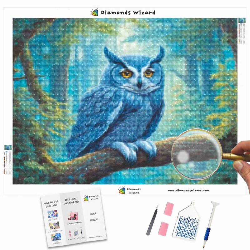 Diamondswizard, diamond painting kits, animalsowlceruleanserenitycanvajpg