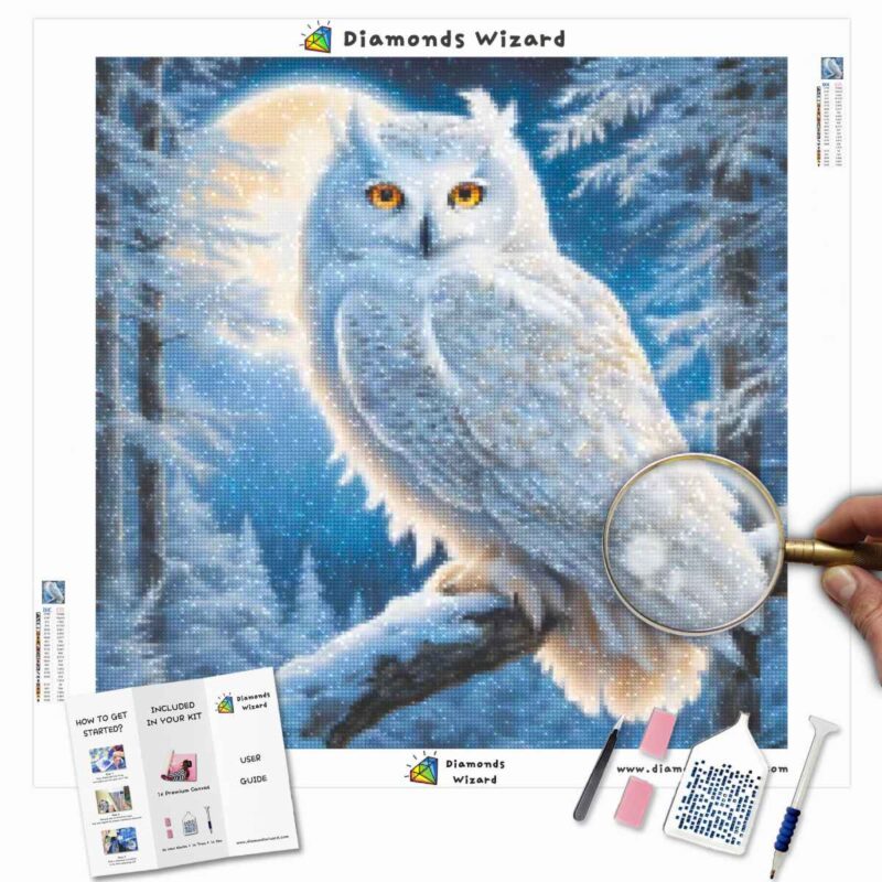 Diamondswizardkits de peinture au diamantanimauxhibouplumes givréescanvajpg