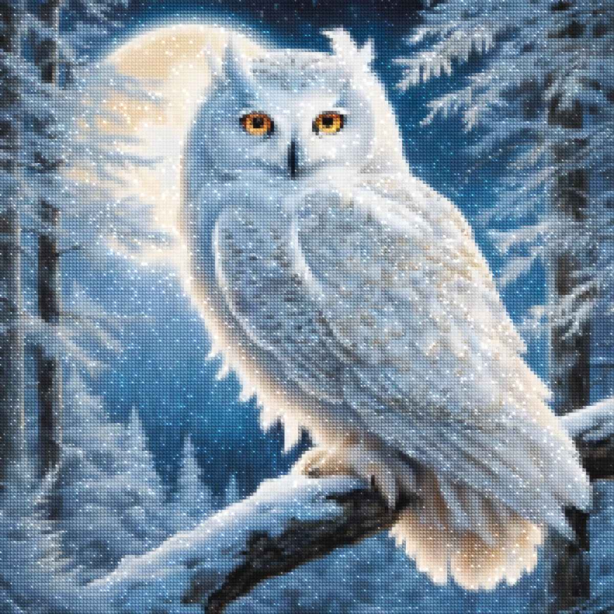 diamonds-wizard-diamant-painting-kit-Animals-Owl-Frosty-Feathers-diamonds.jpg