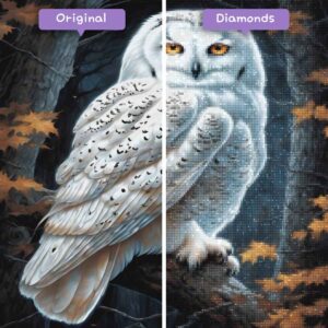 diamonds-wizard-kit-pittura-diamante-animali-gufo-guardiano-fantasma-prima-dopo-jpg