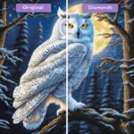 diamonds-wizard-diamond-painting-kits-animals-owl-moonlit-majesty-before-after-jpg