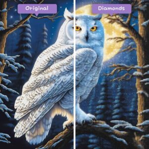 Kits de pintura con diamantes de magos de diamantes, animales, búho, majestuosidad a la luz de la luna, antes y después, jpg