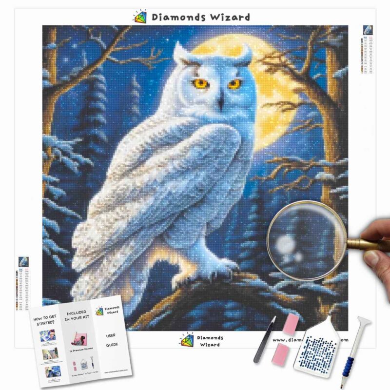 diamonds-wizard-diamond-painting-kits-animals-owl-moonlit-majesty-canva-jpg