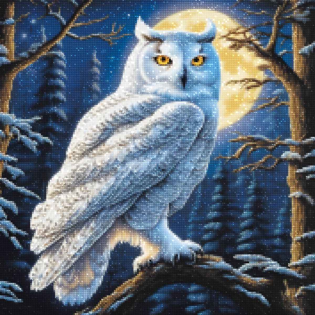 diamonds-wizard-diamond-painting-kits-Animals-Owl-Moonlit-Majesty-diamonds.jpg