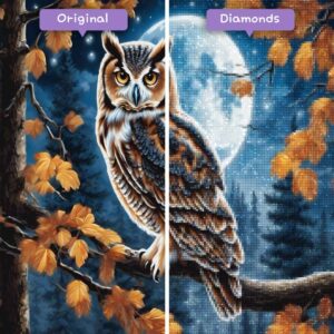 diamonds-wizard-diamond-painting-kits-animals-owl-moonlit-owl-before-after-jpg