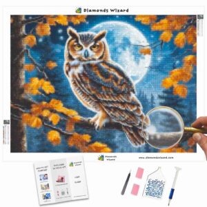 diamonds-wizard-diamond-painting-kits-animals-owl-moonlit-owl-canva-jpg