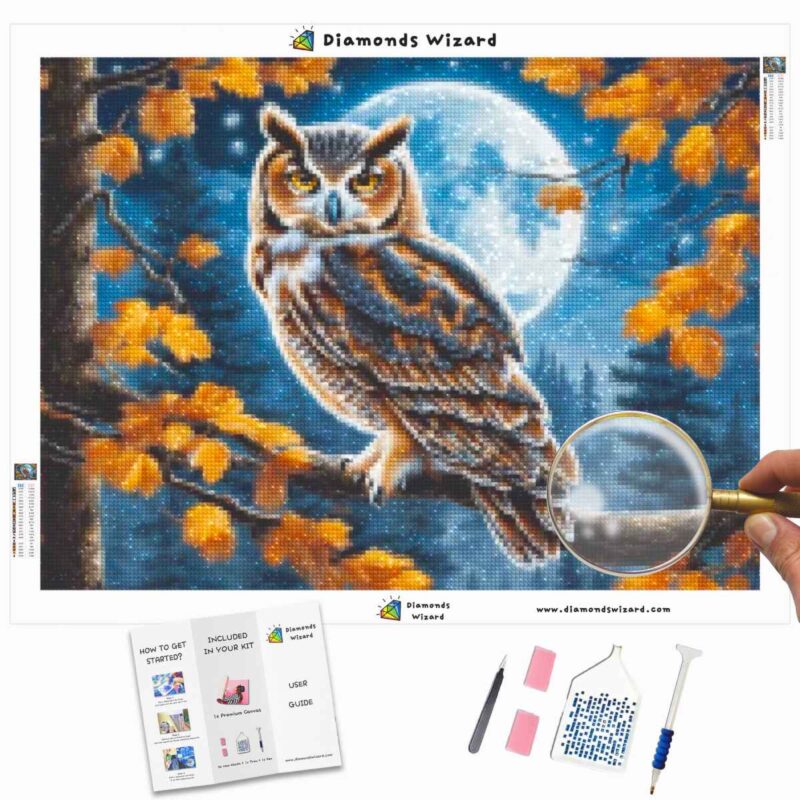 Diamondswizardkits de peinture au diamantanimauxhiboulunelibellulehiboutoilejpg