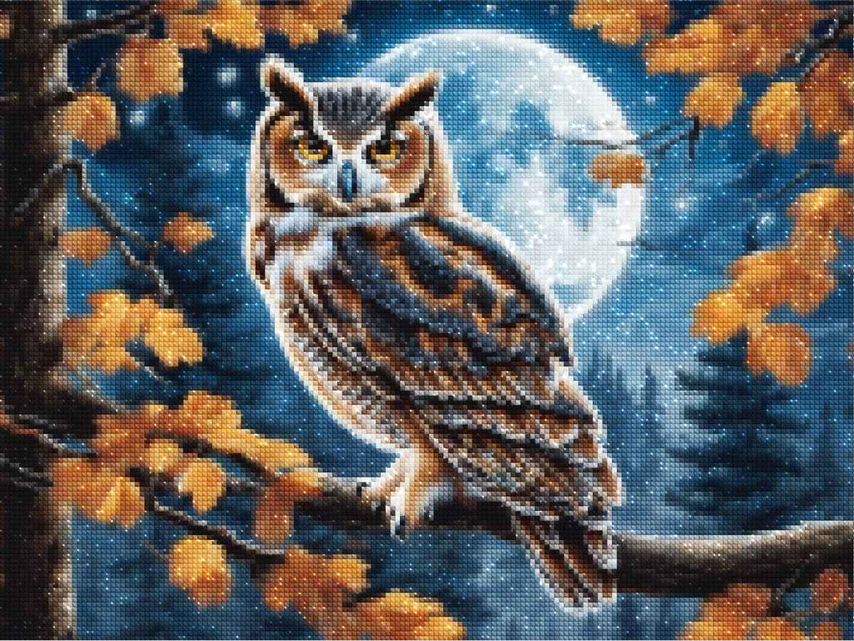 diamonds-wizard-diamond-painting-kits-Animals-Owl-Moonlit-Owl-diamonds.jpg