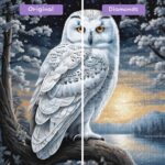 diamonds-wizard-diamond-painting-kits-animals-owl-silent-sentinel-before-after-jpg