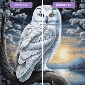 diamonds-wizard-diamond-painting-kits-animaux-hibou-silent-sentinel-avant-après-jpg