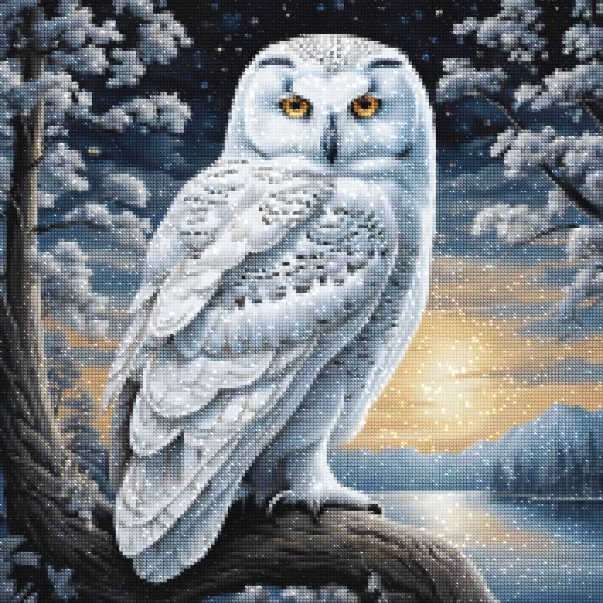 diamonds-wizard-diamant-painting-kit-Animals-Owl-Silent-Sentinel-diamonds.jpg