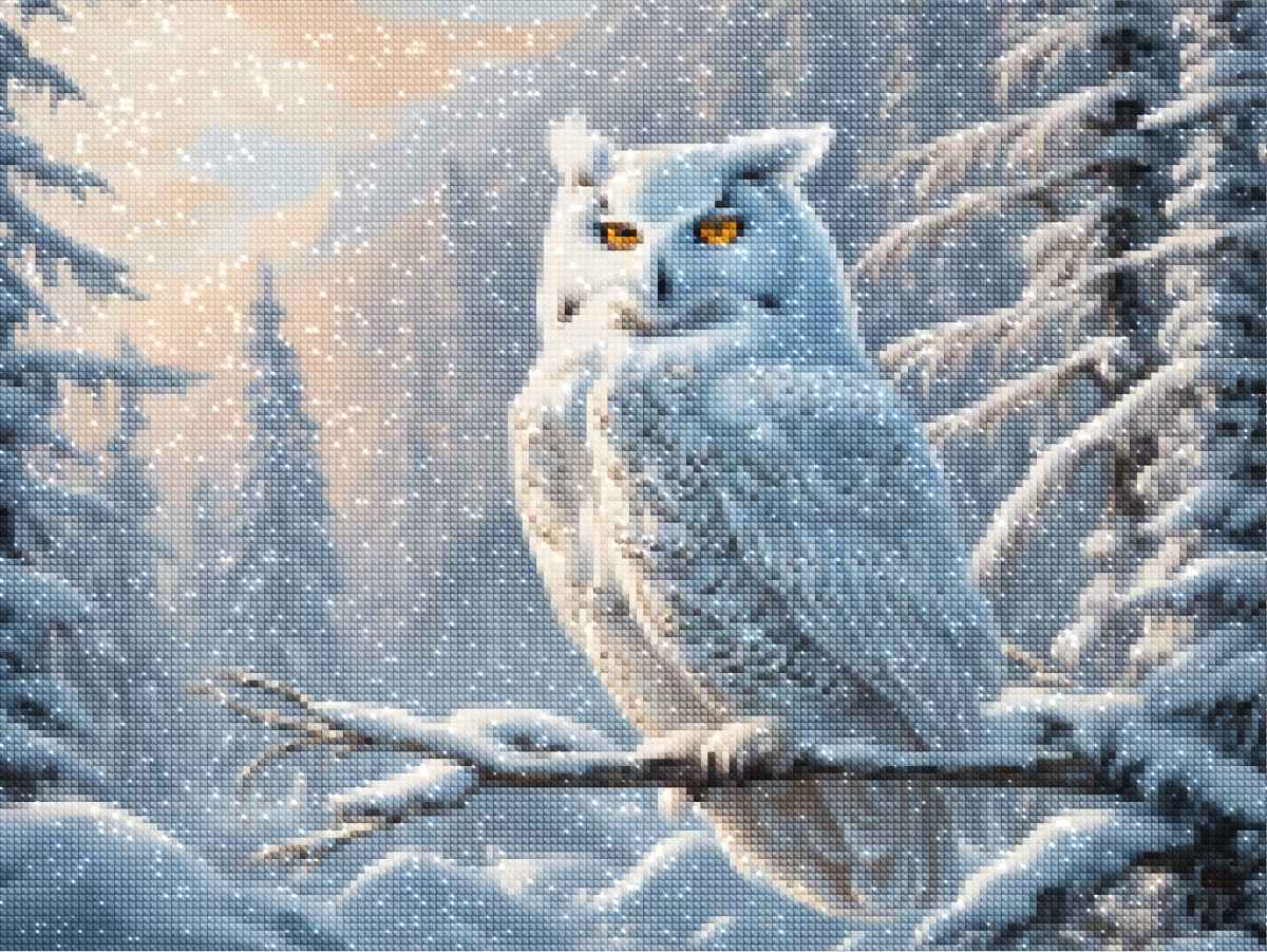 diamonds-wizard-diamant-painting-kit-Animals-Owl-Snowy-Owl-Expedition-diamonds.jpg